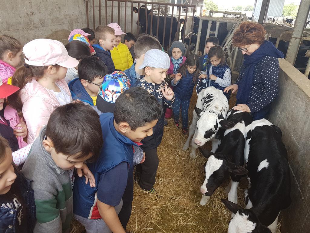 فيلا بوتينيانوفي Agriturismo La Conea المظهر الخارجي الصورة